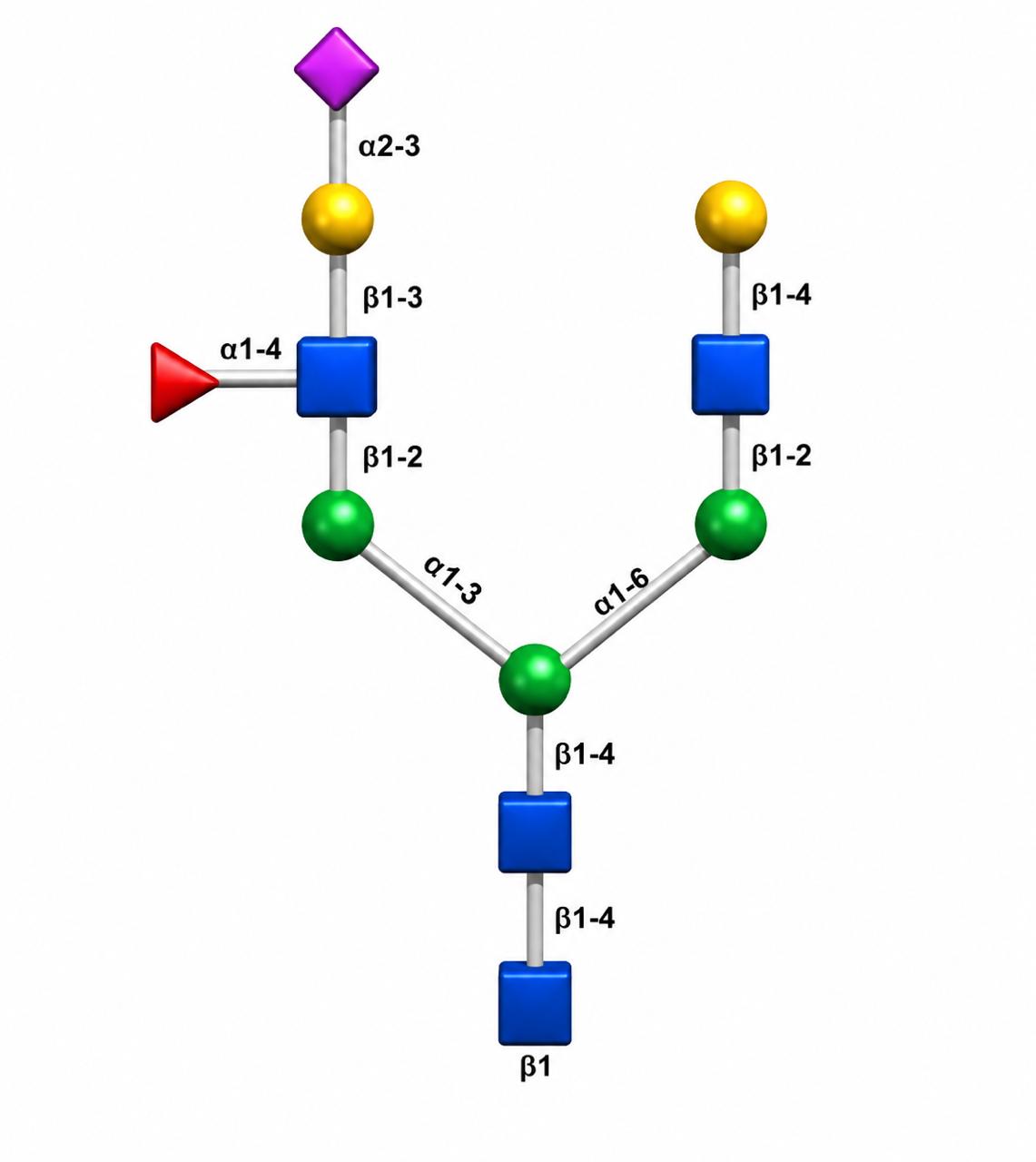 Glycoscience product image 2
