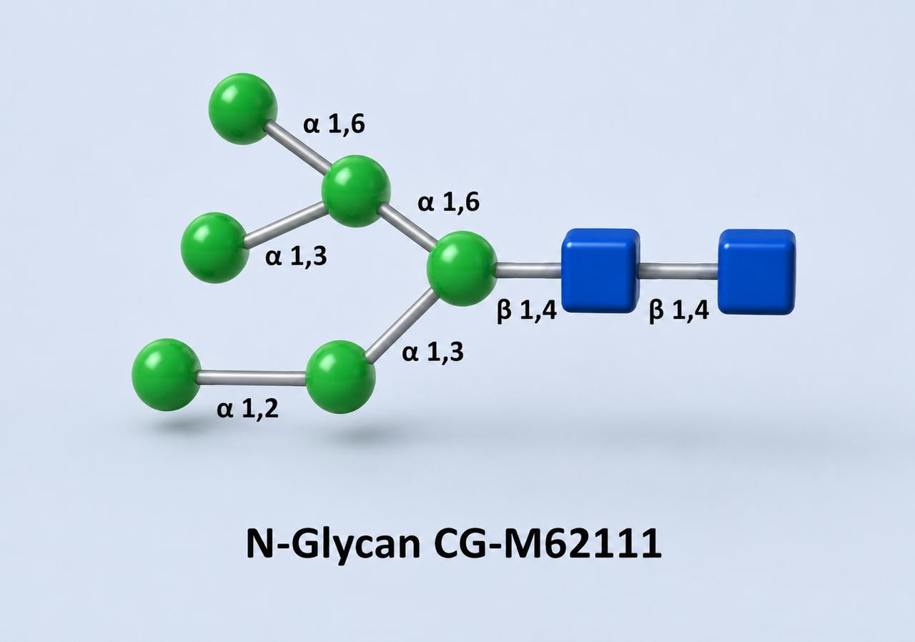 Glycoscience product image 4