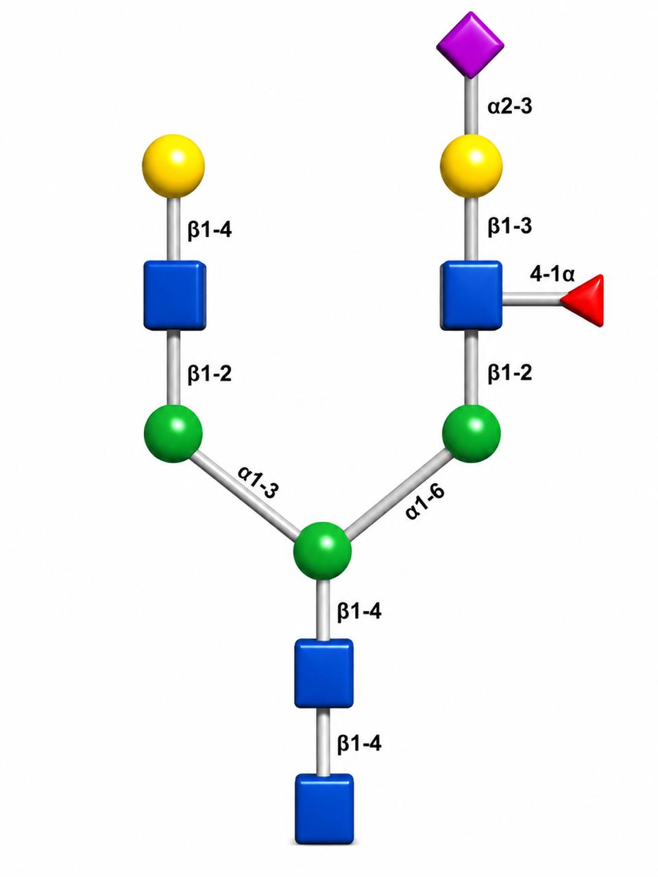 Glycoscience product image 5