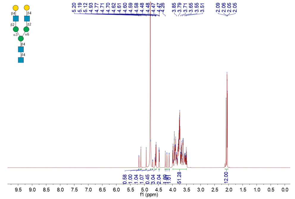N-glycan standard panel: Proton NMR and structure · N-glycan example 1