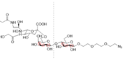 Custom Siglec ligand: Supplied partial Siglec-ligand structure