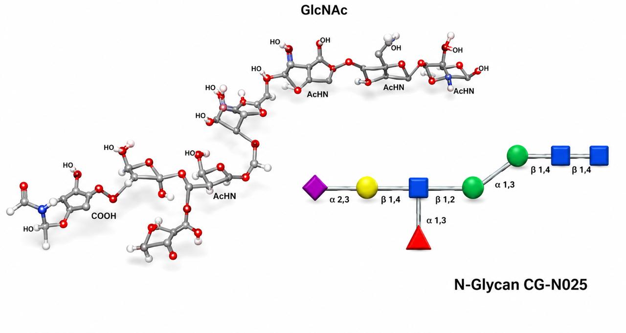 N-Glycan CG-N025 GlcNAc structure with symbolic linkage diagram