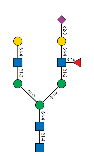 Biantennary N-glycan with an alpha 2-3 sialylated, alpha 1-3 fucosylated antenna on the alpha 1-6 mannose arm