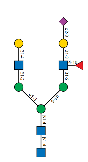 Related biantennary N-glycan with a sialylated beta 1-3 galactose and alpha 1-4 fucose motif on the other antenna